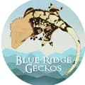 BlueRidgeGeckos-blueridgegeckos