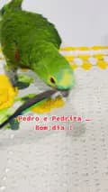 Pedro e Pedrita-casal_pedroepedrita