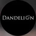 dandelion-dandelionmyhq