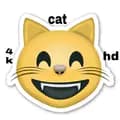 cat_4k_hd-cat_4k_hd
