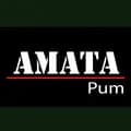Amata Pum-amata_pum