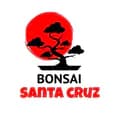 bonsai santa cruz-bonsai_santa_cruz_2023