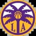 The Los Angeles Sparks-losangelessparks