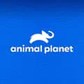 Animal Planet-animalplanet