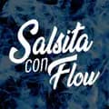 SalsitaConFlow-salsitaconflow