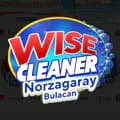 WISE CLEANER CSJDM NORZAGARAY-wisecleanernorzagaray