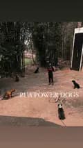 PUA POWER DOGS☮️-puapowerdogs