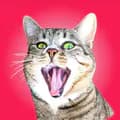 Bébé Crazycat 🙀 100% chat-bebe_crazycat