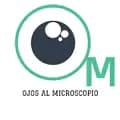 11-ojos_al_microscopio