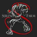 Serenity Farm Gypsy Horses-serenityfarmgypsyhorses