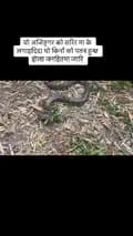 Yamlal Bhandari( SnakeRescuer)-snake_yamlal