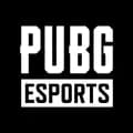 PUBG Esports-pubg.esports.official