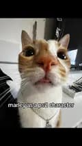 meow-marleyalvin