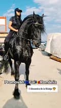Promovări.Cai.Romania-promovari.cai.romania