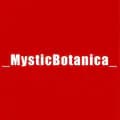 mystic botanica-mysticbotanica_