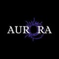 Aurora Lamp-__auroralight__