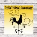 WildWindSanctuary-wildwindsanctuary