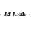 M&M Ragdolls-mm.ragdolls