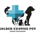 GOLDEN EXOTICS PETS-goldenexoticspets
