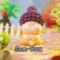 Sam-Box-sam_box01