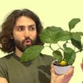 Just Plants-justplantaesthetics