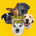 The Rebel Pack-therebelpack