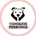 Consejos Perrunos-consejos_perrunos