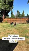 Zeus And Luna-zeusandlunagsd