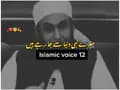 12Hizbullah-islamicvoice12