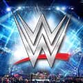 WWE FIGHT ROCK-wwfighte