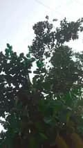 🔥Nahid_Rangpur🔥-nahid_rangpur