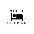 SebIsSleeping-seb_is_sleeping