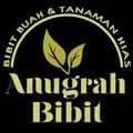 anugrah bibit nursery-anugrahbibit145