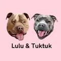 Lulu_andTuktuk-lulu_andtuktuk