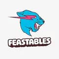 Feastables-feastables