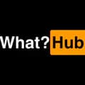WHAT?-what_hub