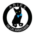 Aries The Cat Ambassador-ambassadoraries
