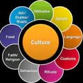This Is Our Culture-thisisourculture