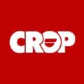 CROP DISORDER-cropdisorder