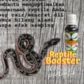 Reptile Booster-reptilebooster