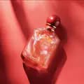 IERA Perfume-love.perfume45