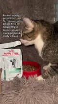 wheezing cat and other rescues-hopeforkhai