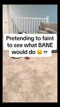 Bane | Petfluencer-raisingbane