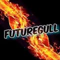 FutureGull-futuregull