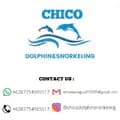 chicodolphinsnorkeling-chicodolphinsnorkeling