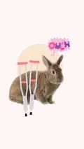 Happy Bunny Co-happy_bunny_co