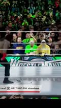 WWE FIGHT ROCK-wwfighte