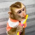 Monkey baby 🐵🐵🐵-monkeybaby90