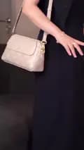 Amy Luxury Bags-amyluxurybag1