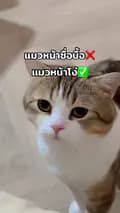 มังคุดมนุษย์แมว(มังจู๊ด)-mungkuuuud